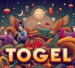 Link Login Ziptogel Hari Ini: Akses Mudah dan Cepat